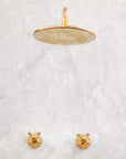 Unlacquered Solid Brass Shower System