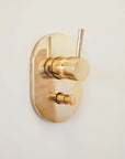 Built in Brass Shower System, Antique Brass Shower Fixtures